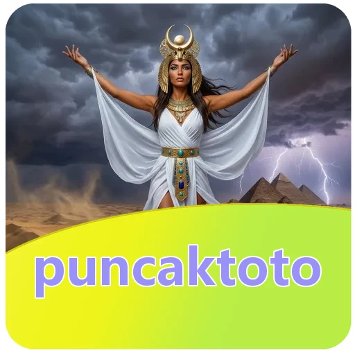 Troubleshooting puncaktoto